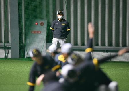 　練習を見守る平田２軍監督（撮影・石井剣太郎）
