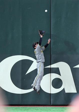 　５回、近本は吉川の打球をフェンス際でジャンプし好捕する（撮影・山口登）