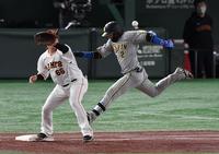 　２回、遊ゴロで併殺打に倒れた梅野（撮影・佐々木彰尚）