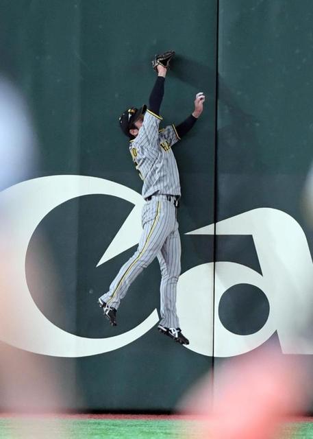 阪神・近本が好守連発 フェンス際の大飛球をジャンピングキャッチ