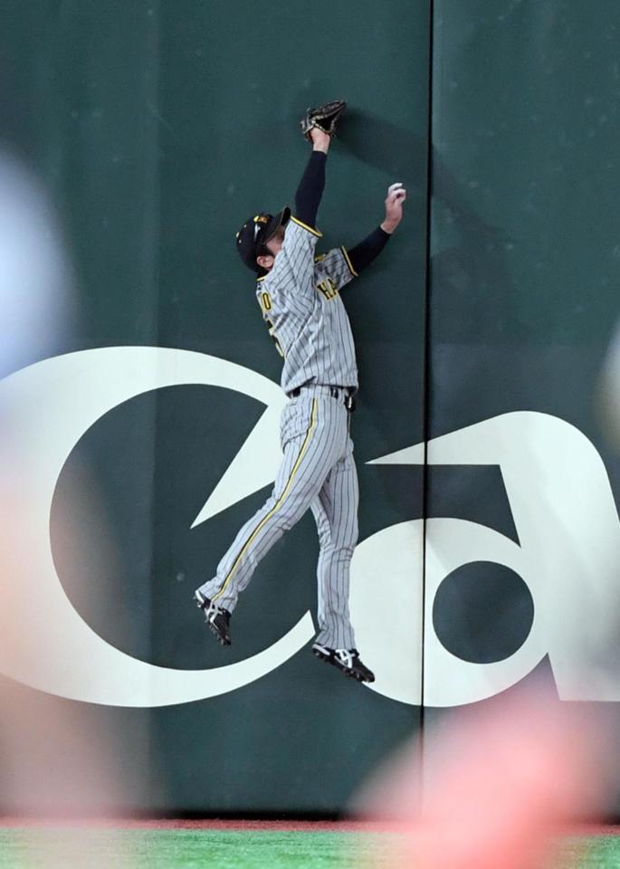 　５回、近本は吉川の打球をフェンス際でジャンプし好捕する（撮影・山口登）