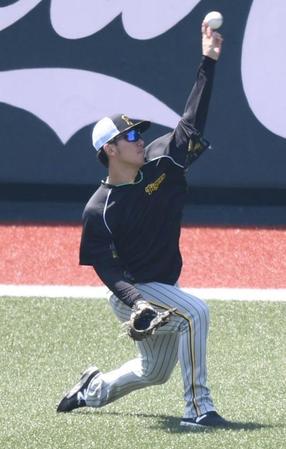 　キャッチボールする伊藤将（撮影・石井剣太郎）