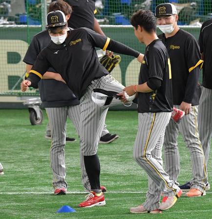 　西純（右）に蹴りを浴びせる佐藤輝（撮影・佐々木彰尚）