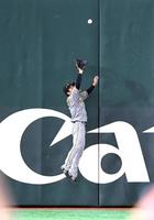 　５回、近本は吉川の飛球をフェンス際でジャンプし好捕する（撮影・山口登）