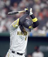 　４回、佐藤輝は空振り三振に倒れ、悔しそうな表情を見せベンチに戻る（撮影・山口登）