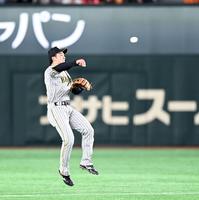 　５回、山本は大城の打球を捕球し一塁へ送球しアウトにする（撮影・山口登）