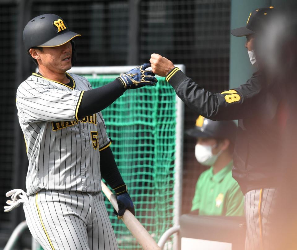 　８回、勝ち越しホームランを放った陽川（左）は平田２軍監督とタッチをかわす（撮影・石井剣太郎）