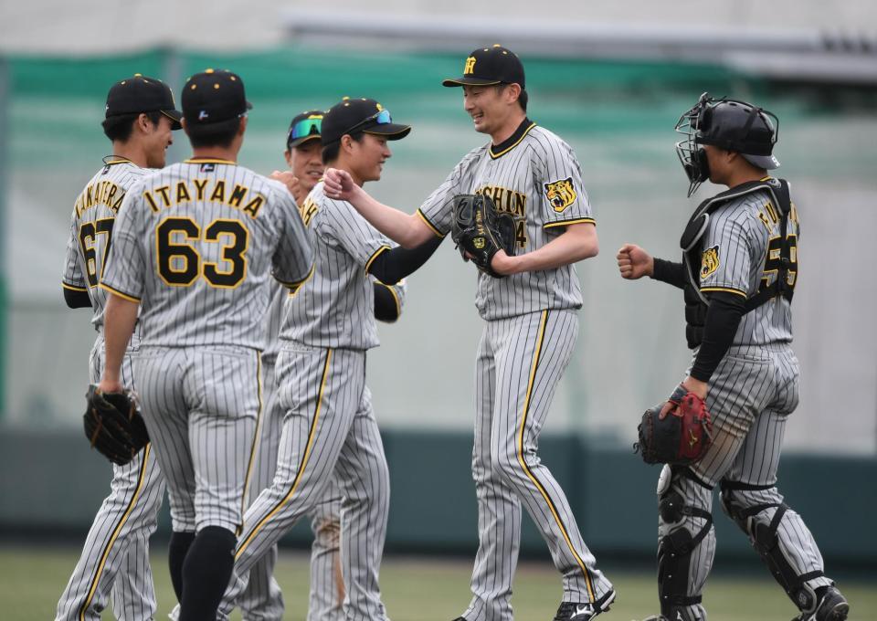 　試合に勝利しタッチをかわす阪神ナイン（撮影・石井剣太郎）