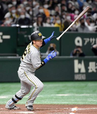 　６回、梅野は右翼へ勝ち越し適時安打を放つ（撮影・佐藤厚）