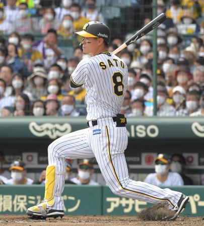 　３回、中前に適時打を放つ阪神・佐藤輝（撮影・高部洋祐）