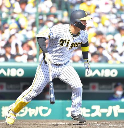 　３回、中前に適時打を放つ阪神・佐藤輝（撮影・吉澤敬太）
