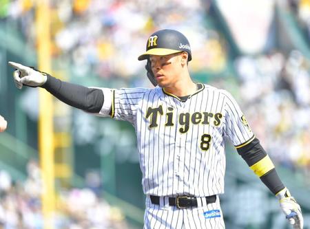 　３回、中前に適時打を放ち、ベンチに向かって右腕を突き出す阪神・佐藤輝（撮影・吉澤敬太）
