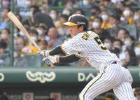 　５回、中前打を放つ近本（撮影・高部洋祐）