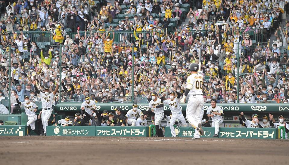 　９回、サヨナラ勝ちに歓喜の阪神ナインとファン（撮影・高部洋祐）