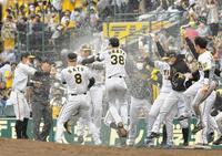 　９回、サヨナラの押し出し四球を選んだ山本（左から４人目）を祝福する阪神ナイン（撮影・高部洋祐）