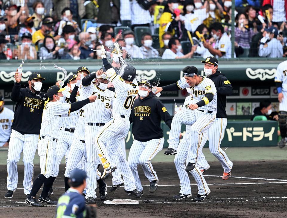　サヨナラでの勝利に歓喜する　佐藤輝ら阪神ナイン（撮影・飯室逸平）