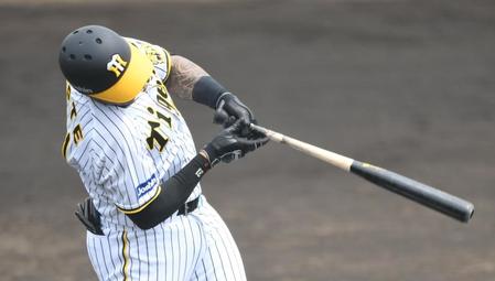 　４打数無安打に終わったマルテ（撮影・石井剣太郎）