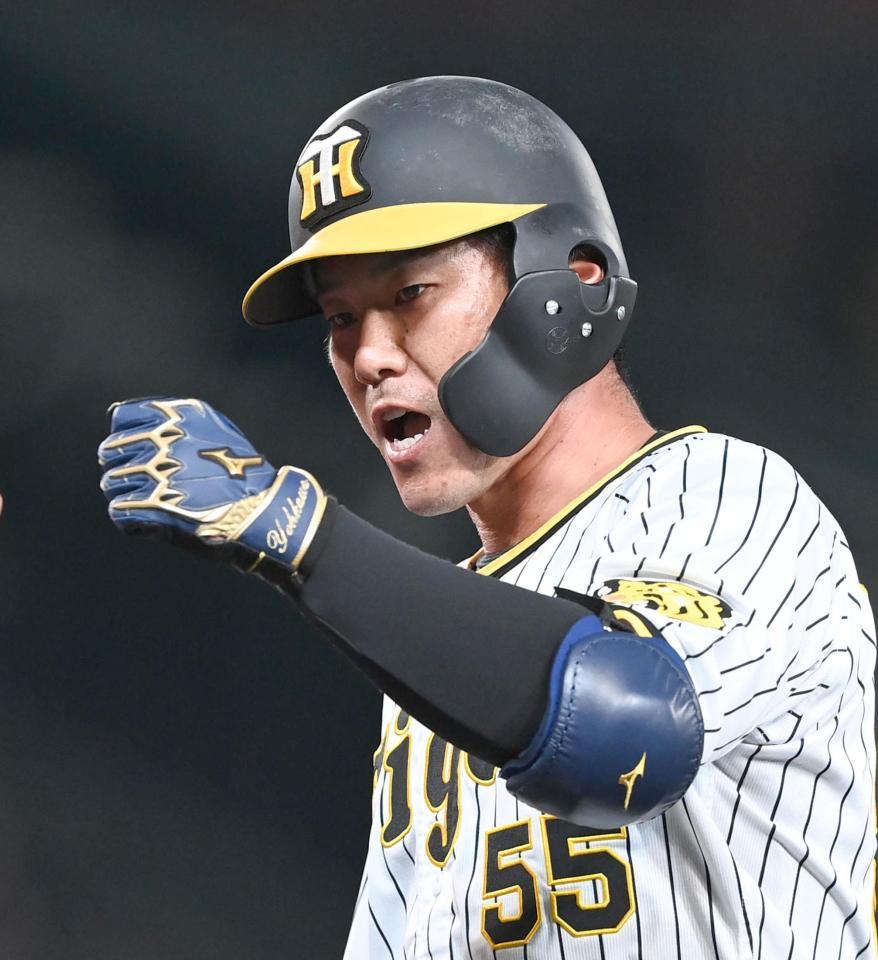 　６回、代打で左前打を放ちグータッチする陽川（撮影・飯室逸平）