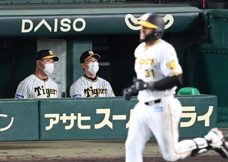 ９回、広島に連敗しグラウンドを見つめる矢野監督（右奥）と井上コーチ。手前は最後の打者となったマルテ（撮影・田中太一）