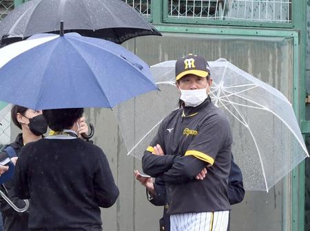 天候不良で試合が中止となり、グラウンドを見つめる平田２軍監督（撮影・田中太一）