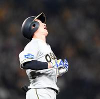 ８回、近本は中飛に倒れ悔しがる（撮影・山口登）