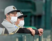 ベンチで試合を見つめる青柳（右）＝撮影・山口登