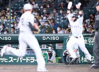 　延長１２回、立岡の勝ち越し適時打で中山（右手前）が生還、ベンチからグラウンドを見つめる矢野監督（撮影・田中太一）