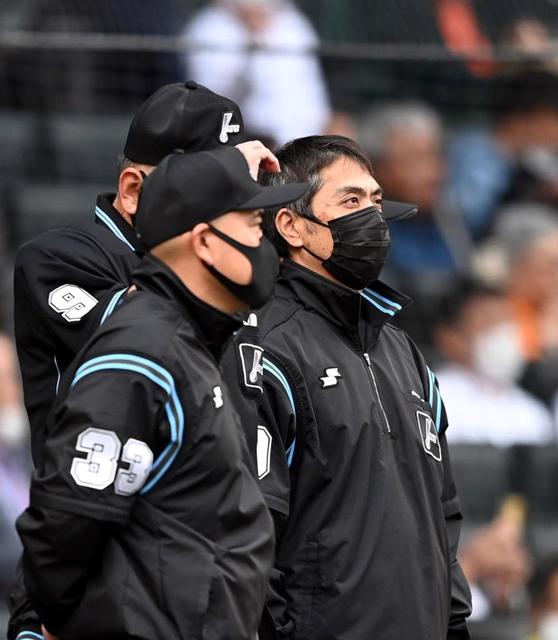 tg戦の二塁塁審は白井審判員 伝統の一戦 アナウンスに客席から拍手 阪神タイガース デイリースポーツ Online tg戦の二塁塁審は白井審判員 伝統の一戦 アナウンスに客席から拍手 阪神タイガース デイリースポーツ Online