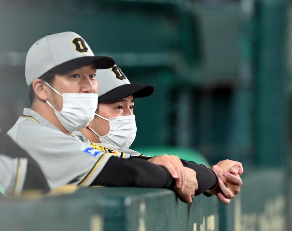 ベンチで試合を見つめる青柳（右）＝撮影・山口登