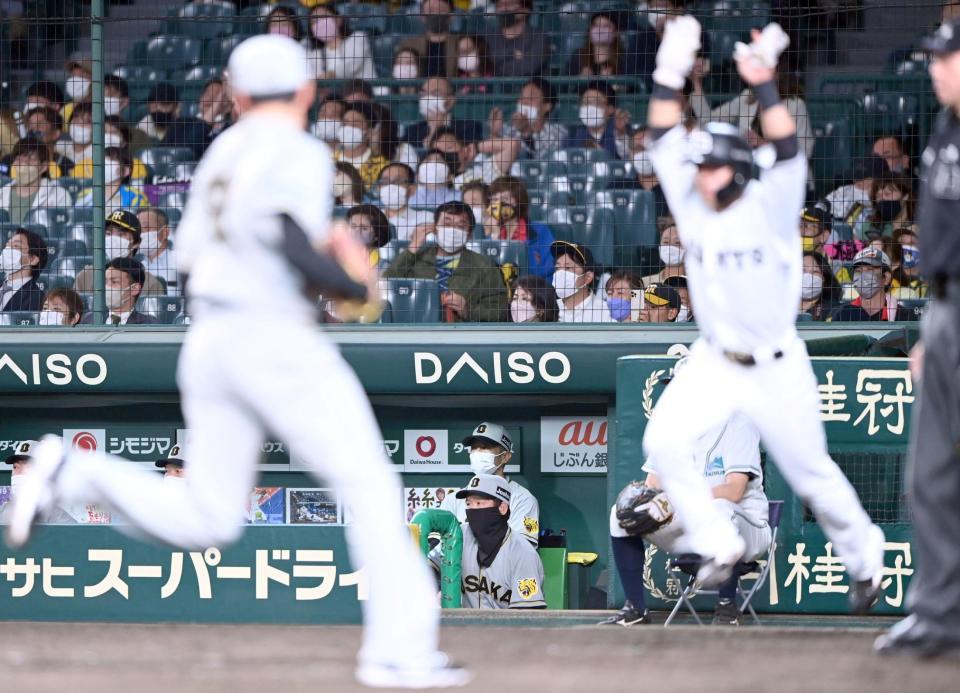 　延長１２回、立岡の勝ち越し適時打で中山（右手前）が生還、ベンチからグラウンドを見つめる矢野監督（撮影・田中太一）