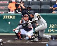 　２回、長坂はセーフティースクイズを決める（撮影・山口登）