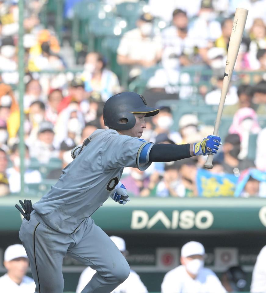 　７回、右前打を放つ近本（撮影・高部洋祐）