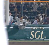 　６回、渡辺佳の打球を好捕する大山（撮影・飯室逸平）