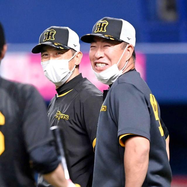 交流戦で浮上へ阪神・矢野監督「自分たちの野球」 井上ヘッド「どうし