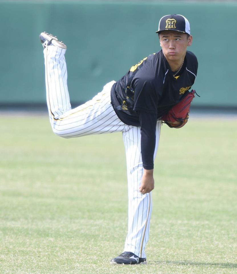 　キャッチボールする森木（撮影・石井剣太郎）