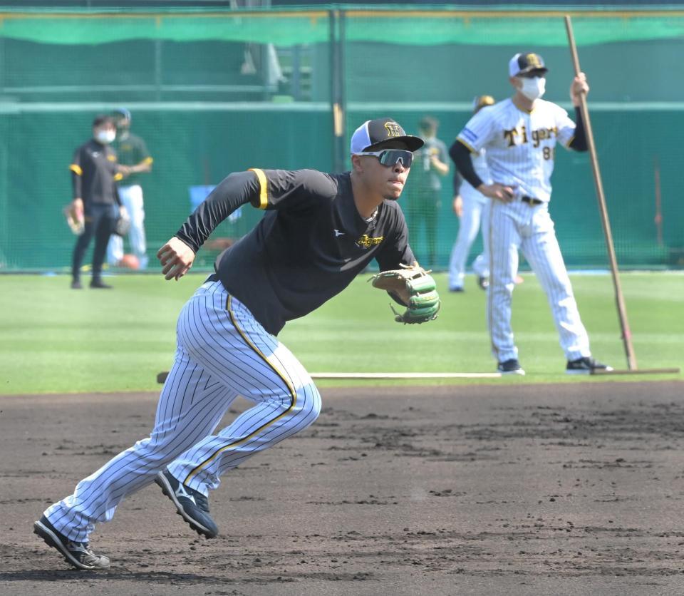 　試合前、矢野監督（右奥）が見守る中、サードでノックを受ける佐藤輝（撮影・高部洋祐）