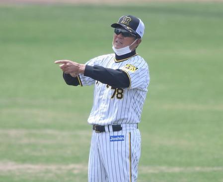 　練習を見守る平田２軍監督（撮影・石井剣太郎）