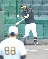 　矢野監督が見守る中、打撃練習する大山（撮影・飯室逸平）