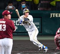 ８回阪神、２死二塁、左前打を放つ阪神・近本光司＝甲子園（撮影・飯室逸平）