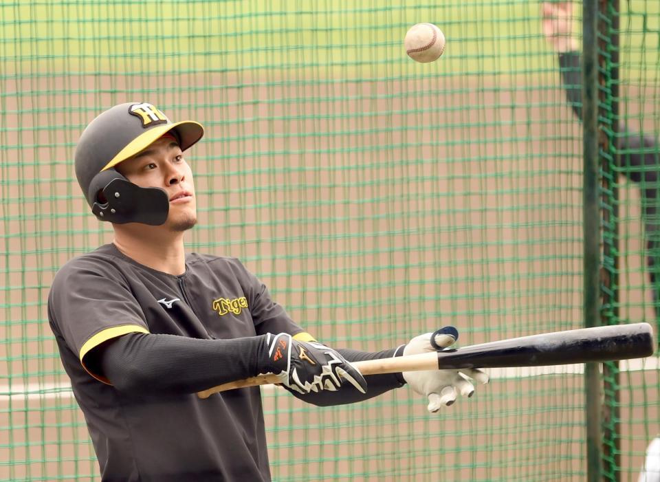 　バント練習をする佐藤輝（撮影・田中太一）