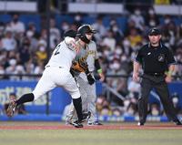 ４回、佐藤輝明の二ゴロで飛び出し三本間で挟まれタッチアウトとなった中野（中央）＝撮影・開出牧