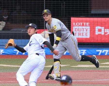 　１回、中犠飛を放つ佐藤輝（撮影・堀内翔）