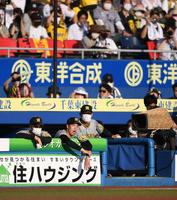 ９回、完投勝利目前で降板しベンチで悔しがる青柳（右から２人目）＝撮影・開出牧