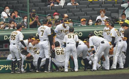 　試合前、円陣を組む阪神ナイン。中央はロハス（撮影・神子素慎一）