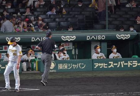 　試合終了。厳しい表情でグラウンドを見つめる矢野監督（撮影・神子素慎一）