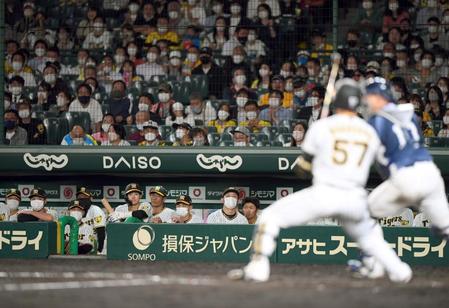 　９回、長坂（手前）が三振に倒れゲームセット。静まりかえる阪神ベンチ（撮影・田中太一）