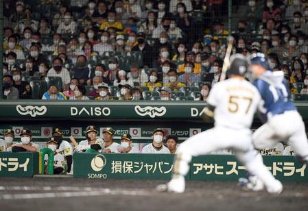 　９回、長坂（手前）が三振に倒れゲームセット。静まりかえる阪神ベンチ（撮影・田中太一）