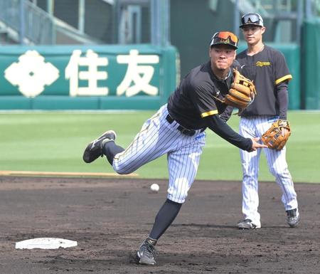 試合前、中野拓夢（右）と共にショートの守備練習を行う佐藤輝（撮影・高部洋祐）