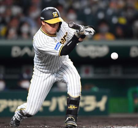 　７回、犠打を決める大山（撮影・田中太一）