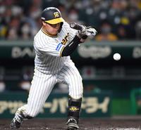 　７回、犠打を決める大山（撮影・田中太一）